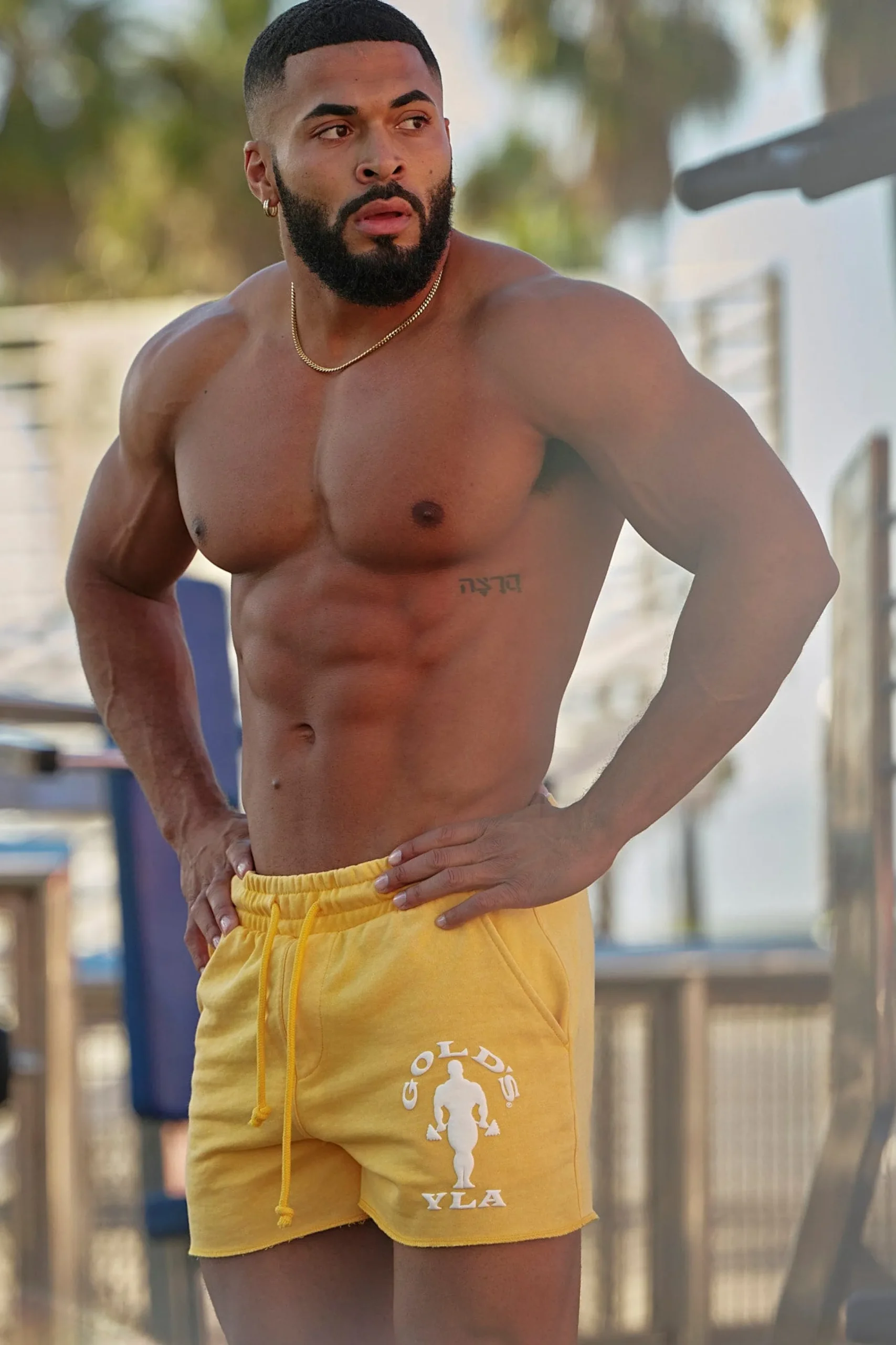 1132 - Golds Gym Bodybuilding Shorts