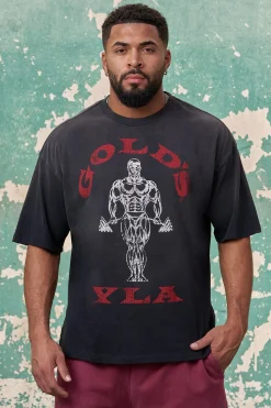 4213 - Gold's Iron Legacy Icon Tees