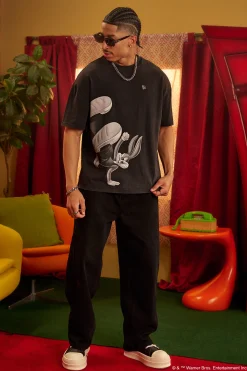 4291 - Looney Tunes Vintage Tees