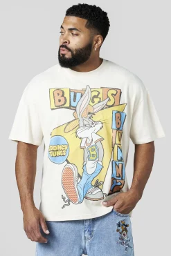 4291 - Looney Tunes Vintage Tees
